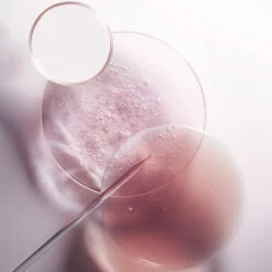 Bain Cheveux Fins à Normaux Chroma Absolu Kérastase 250ML -Hair Care Soldes bain cheveux fins a normaux chroma absolu kerastase 250ml 6