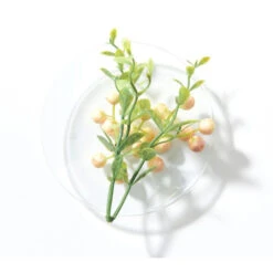 Shampooing Léger BlondMe Schwarzkopf 1L -Hair Care Soldes shampooing leger blondme schwarzkopf 1l 1