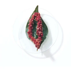 Shampooing Neutralisant BlondMe Schwarzkopf 1L -Hair Care Soldes shampooing neutralisant blondme schwarzkopf 1l 1