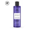 Shampooing Pigmenté Reflet Déjaunisseur Lavande De Valensole Fauvert Professionnel 250ML -Hair Care Soldes shampooing pigmente reflet dejaunisseur lavande de valensole fauvert professionnel 250ml
