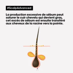 Shampooing Purifiant Cheveux Gras Scalp Advanced L'Oréal Professionnel 300ML -Hair Care Soldes shampooing purifiant cheveux gras scalp advanced l oreal professionnel 300ml 5